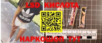 mdpv Камышлов