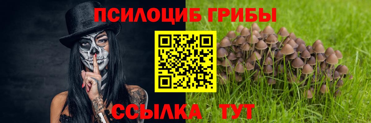 Куйбышев  Галлюциногенные грибы прущие грибы  Вход с VPN 